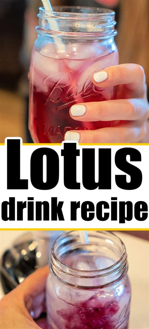How To Make Lotus Drink Recipe The Typical Mom How To Make Lotus Drink Recipe The Typical Mom