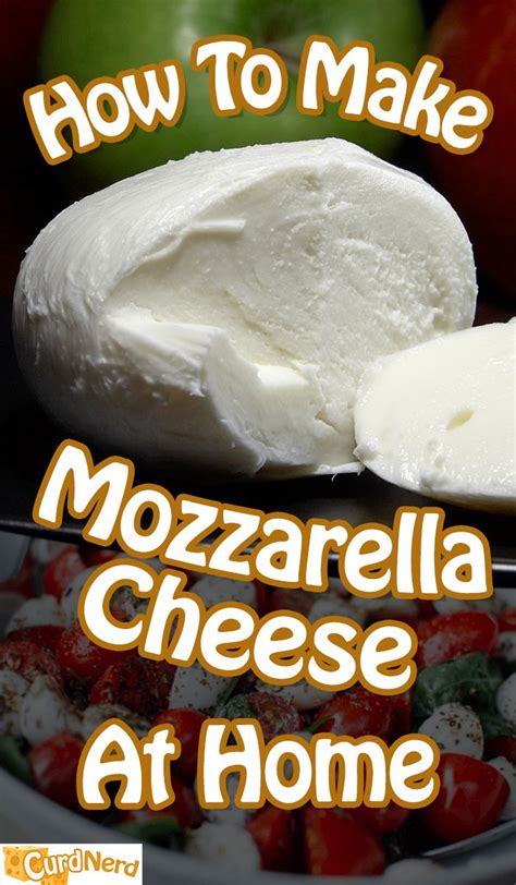 How To Make Mozzarella Cheese At Home Curd Nerd