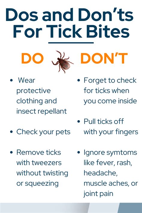 How To Prevent And Take Care Of Tick Bites