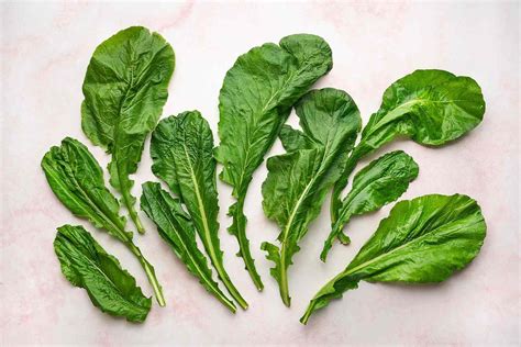 How To Store Turnip Greens Storables