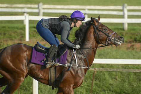 How To Train A Racehorse Vitafloor