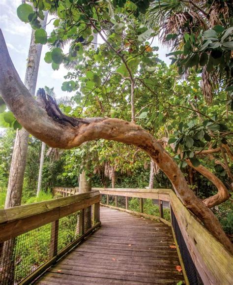 Hugh Taylor Birch State Park In East Fort Lauderdale Expedia