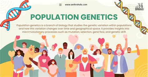 Human Population Genetics And Evolution