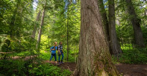 Idaho Mountain Express Ketchum Idaho