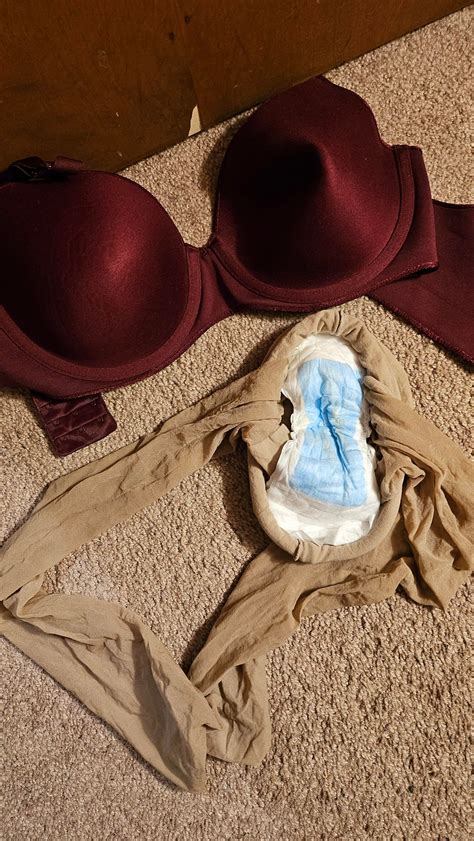 Unveiling the Complex World of Law Porn