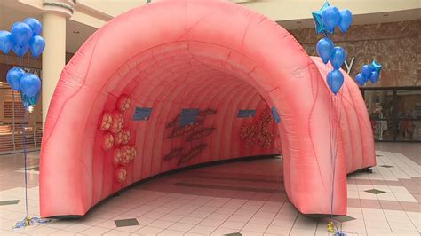 Inflatable Exhibit Aims To Spread Awareness About Colon Cancer