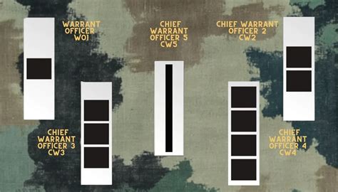Insignia Of Grade Warrant Officers
