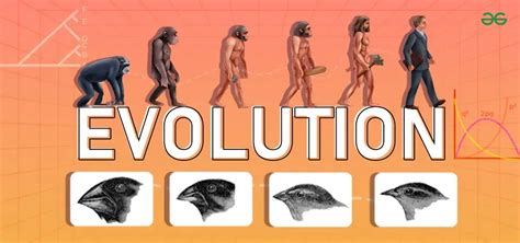 Interesting Facts About Evolution Geeksforgeeks