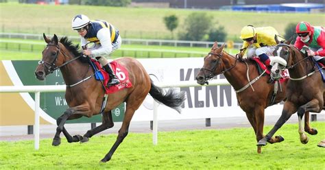 Irish Racing Will Be Hoping To Forget Its Woes At The Galway Racing Festival Buzz Ie