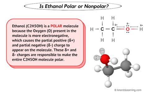 Ethanol Polarity: Unraveling Its Key Characteristics
