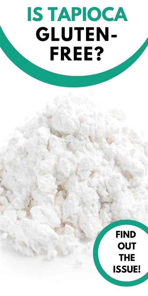 Is Tapioca Gluten Free Is Tapioca Flour Gluten Free Is Tapioca Gluten Free Is Tapioca Flour Gluten Free