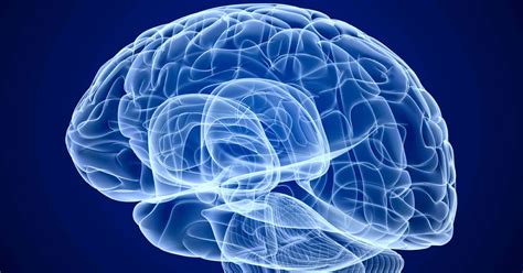 Is Your Brain A Muscle Houston Methodist On Health