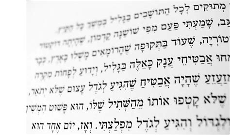 Israel S Official Languages Anglo List