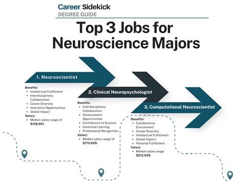 Top Jobs in Neurobiology: Careers Uncovered