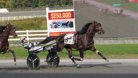 Jon I Love Dat Standardbred Canada