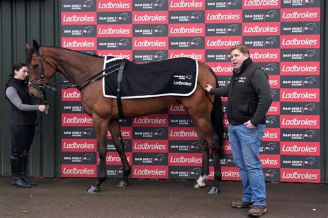 Jp Mcmanus Willie Planned The Campaign With This Horse A Long Time Back