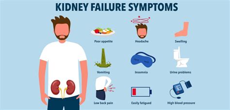 Kidney Failure Symptoms Causes And Treatment Max Hospital