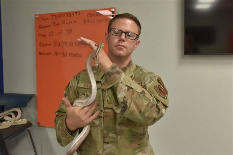 Know Your Enemy Air Force Pest Management Defends Health Critical Know Your Enemy Air Force Pest Management Defends Health Critical