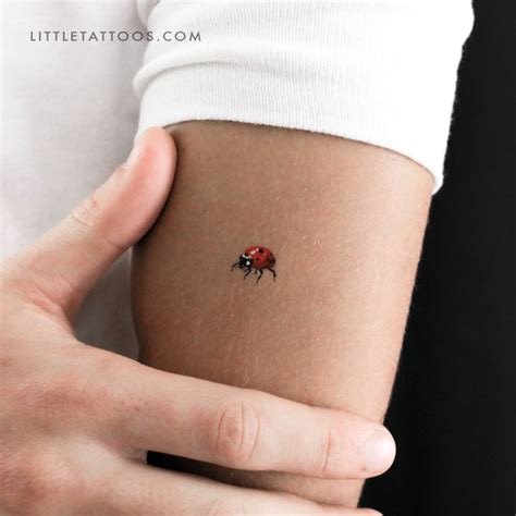 Ladybird Temporary Tattoo Set Of 3