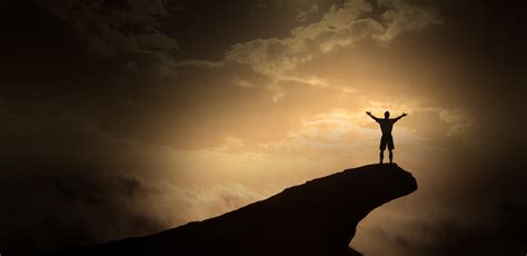 Life Shapers Life C E O