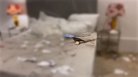 The Lily Scandal: 100 Men Leaked