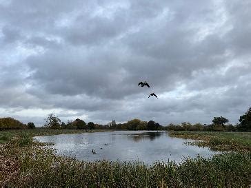 Lingfield Bbc Weather