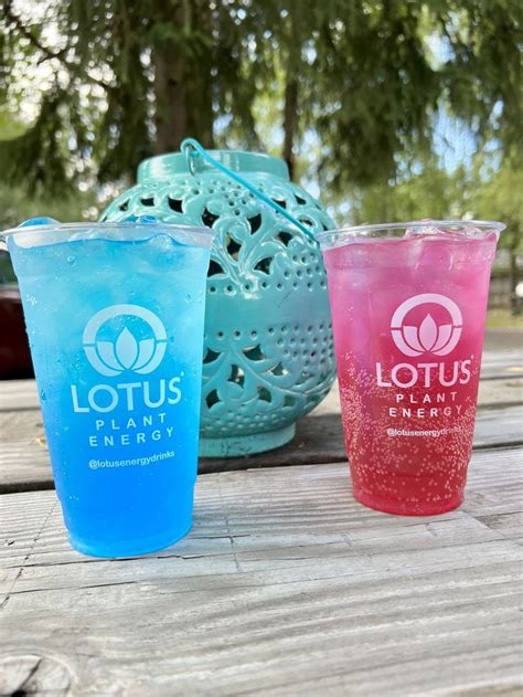 Lotus Energy Drink Recipes Intermix Beverage Artofit