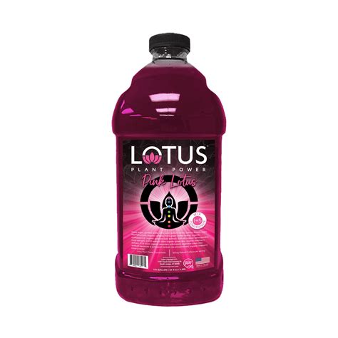 Lotus Plant Energy Skinny Pink Lotus Energy Concentrate Barista Underground