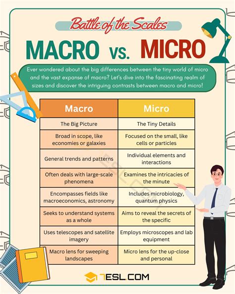 Macro Vs Micro Concept Health Map