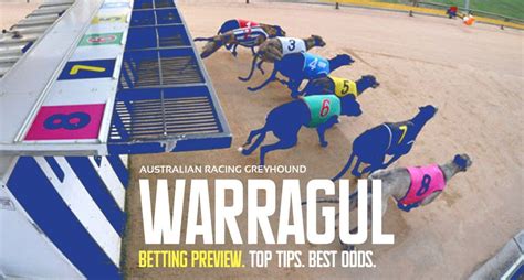 Mandurah Greyhound Racing Preview Amp Tips Friday February 14 Mandurah Greyhound Racing Preview Amp Tips Friday February 14