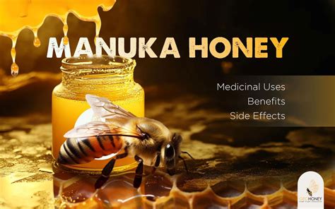 Manuka Honey Benefits And Side Effects Healthshots