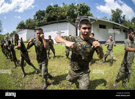 Marine Corps Martial Arts Training Program Hi Res Stock Photography And Marine Corps Martial Arts Training Program Hi Res Stock Photography And