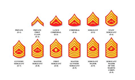 Marine Corps Ranks Kentwood Mcjrotc Marine Corps Ranks Kentwood Mcjrotc