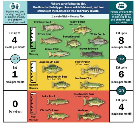 Mercury In Fish Vermont Department Of Health Mercury In Fish Vermont Department Of Health