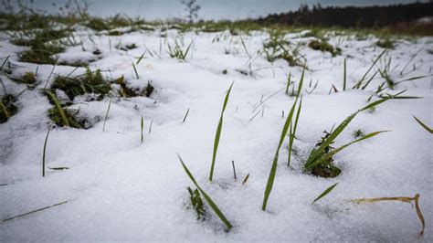 Miller Place Ny Weather