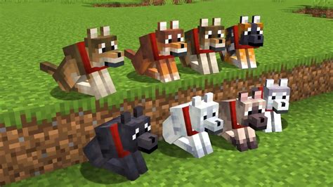 Minecraft Dog Breeds