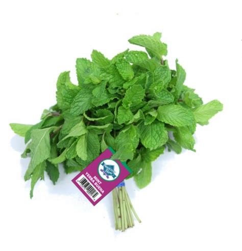 Mint 1 Ct Kroger Mint 1 Ct Kroger