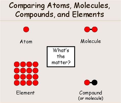 Exploring the Mysteries of the Molecule of an Element