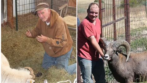 Montana Giant Sheep Cloning
