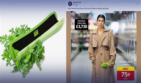 Moschino S 3 700 Celery Bag Sparks Hilarious Aldi Response With 75P