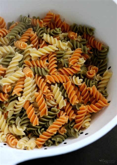 Multi Colored Rotini
