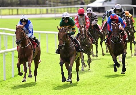 Mystical Power An Exciting Prospect Irishracing Com