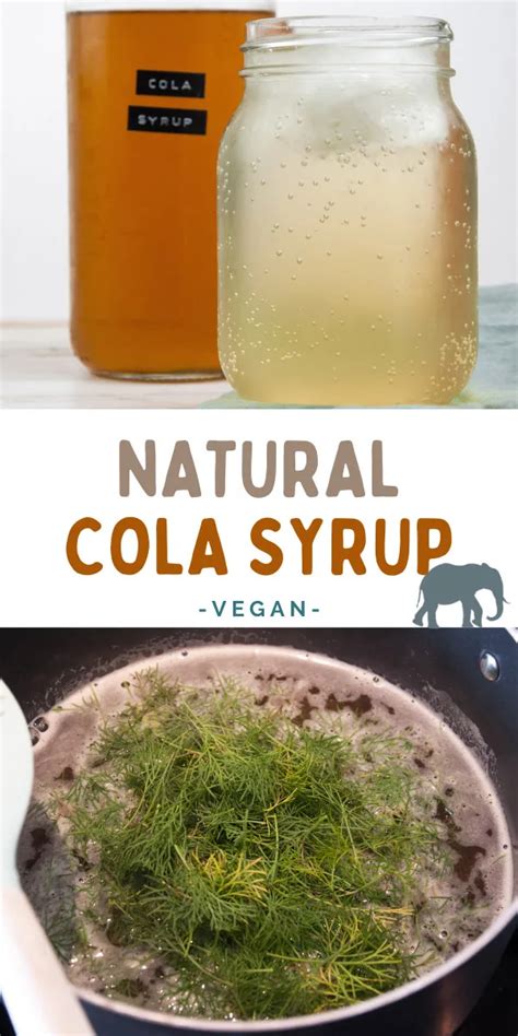 Natural Cola Syrup Elephantastic Vegan