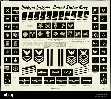 Navy Officer Rank Insignia Chart Anckrl Gori Gov