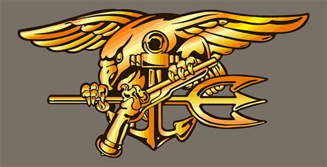 Navy Seal Trident Special Warfare Insignia Photograph By Keith Webber