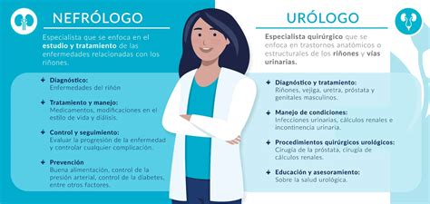 Nefrologo Que Es