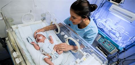 Neonatal Nursing Nursing Specialties Breakdown Neonatal Nursing Nursing Specialties Breakdown