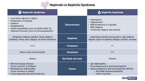 Nephrotic vs Nephritic Syndrome: Key Differences Unveiled