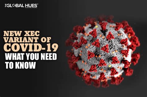 New Covid Xec Variant What You Need To Know