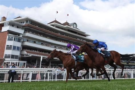 Newbury Racing Tip Latin Verse Expected To Carpe Diem In The 19 15